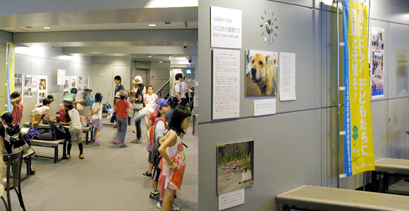 写真展
